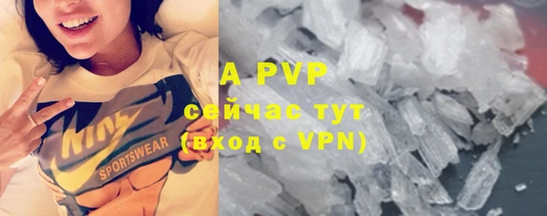 прущие крисы Беломорск