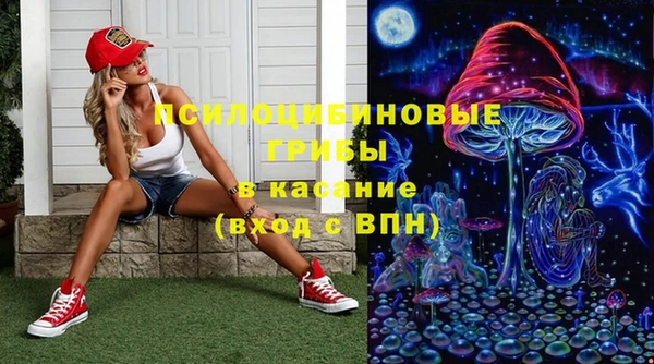 прущие крисы Беломорск